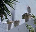 ARCHAEOLOGICAL COLLECTION OF AMORGOS - Amorgos - Photographs