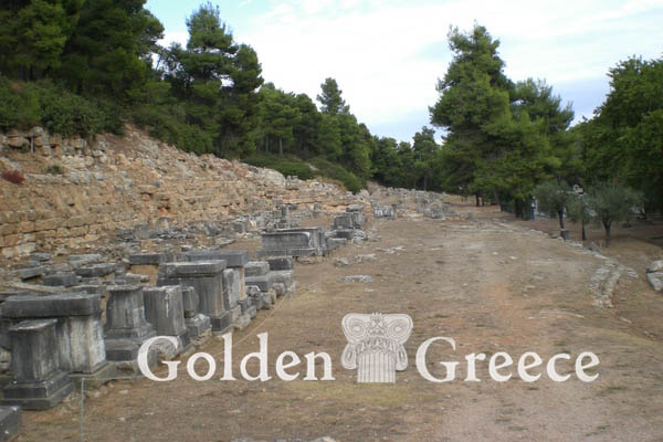 AMPHIARAEIO OF OROPOS | Attica | Golden Greece