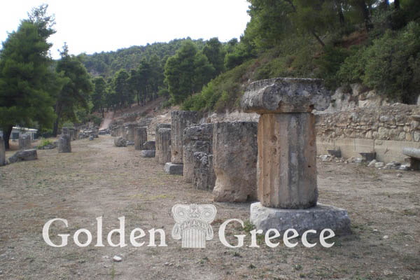 ΑΜΦΙΑΡΑΕΙΟ ΩΡΩΠΟΥ | Αττική | Golden Greece