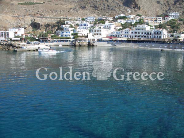 SFAKIA | Chania | Crete | Golden Greece