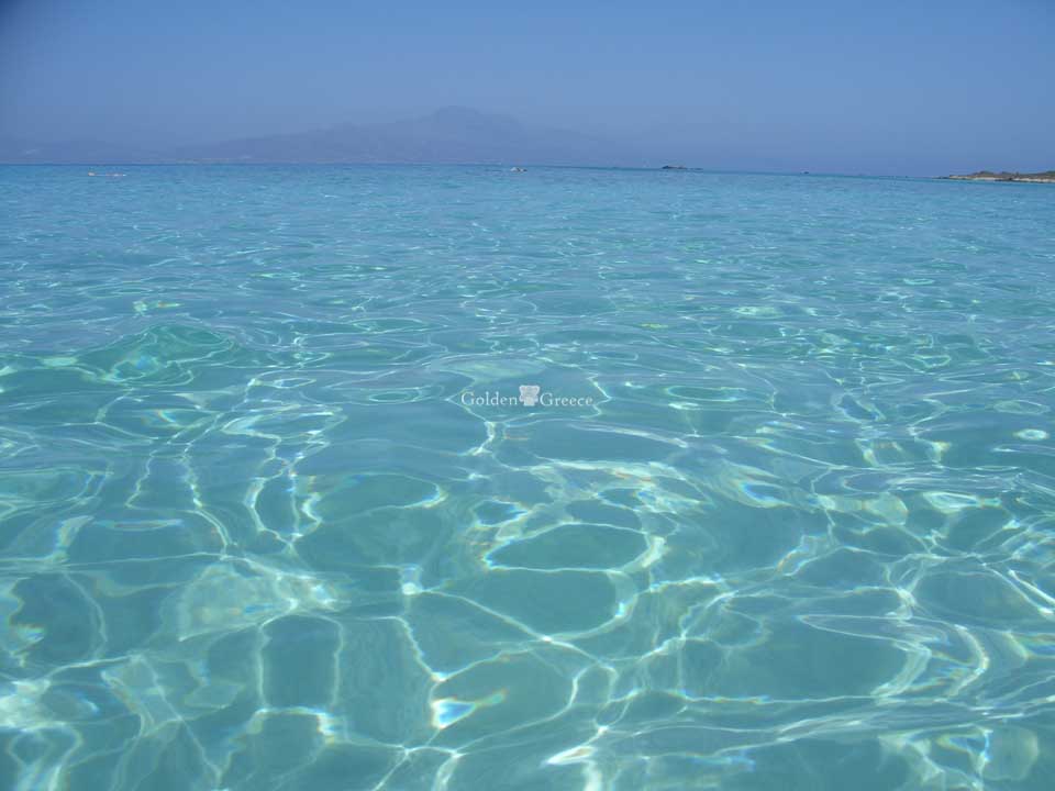 Χρυσή (Chrysi) | Το χρυσαφένιο νησί της Κρήτης | Κρήτη | Golden Greece