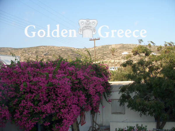 STAVROS (CHORA) | Donousa | Cyclades | Golden Greece