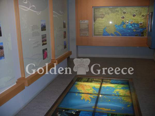 MUSEUM OF NATURAL HISTORY OF ALEXANDROUPOLI | Evros | Thrace | Golden Greece