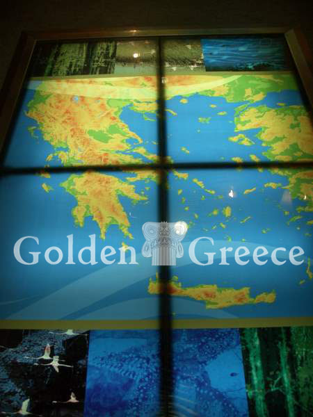 ΜΟΥΣΕΙΟ ΦΥΣΙΚΗΣ ΙΣΤΟΡΙΑΣ - ΑΛΕΞΑΝΔΡΟΥΠΟΛΗ | Έβρος | Θράκη | Golden Greece