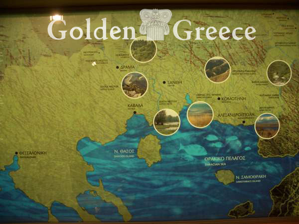 MUSEUM OF NATURAL HISTORY OF ALEXANDROUPOLI | Evros | Thrace | Golden Greece