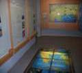 MUSEUM OF NATURAL HISTORY OF ALEXANDROUPOLI - Evros - Photographs