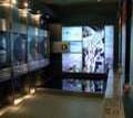 MUSEUM OF NATURAL HISTORY OF ALEXANDROUPOLI - Evros - Photographs