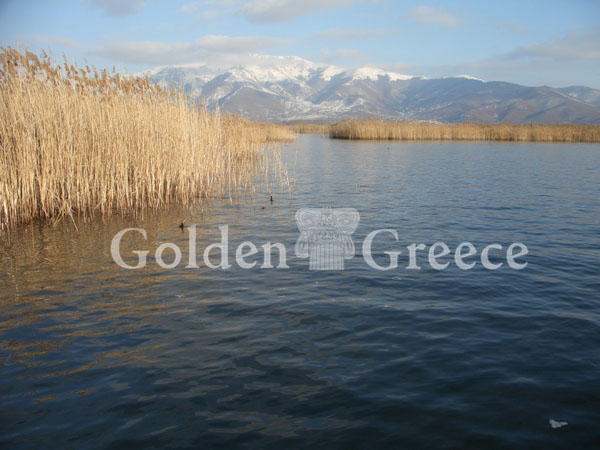 ΛΙΜΝΕΣ ΠΡΕΣΠΕΣ | Φλώρινα | Μακεδονία | Golden Greece