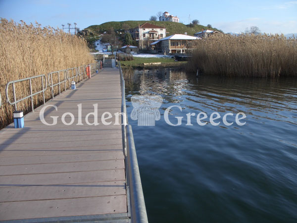 PRESPES LAKES | Florina | Macedonia | Golden Greece