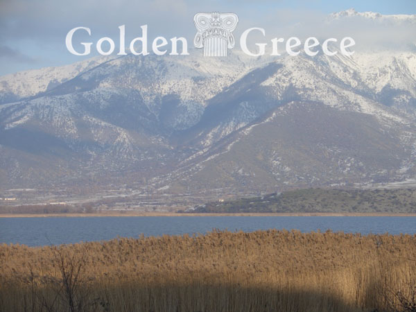 PRESPES LAKES | Florina | Macedonia | Golden Greece