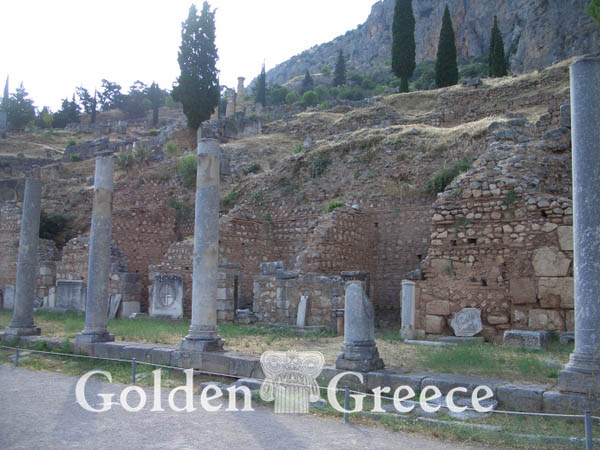 ARCHAEOLOGICAL SITE OF DELPHI | Phocis | Central Greece | Golden Greece