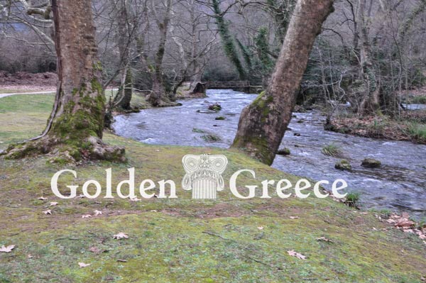 GROVE OF AGIOS NIKOLAOS | Imathia | Macedonia | Golden Greece
