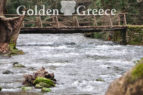 GROVE OF AGIOS NIKOLAOS | Imathia | Macedonia | Golden Greece