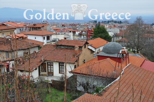 Η ΠΟΛΗ ΤΗΣ ΝΑΟΥΣΑΣ | Ημαθία | Μακεδονία | Golden Greece