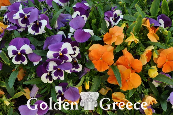 ΜΟΝΗ ΙΩΑΝΝΗ ΠΡΟΔΡΟΜΟΥ ΚΑΣΤΡΙΤΣΑΣ | Ιωάννινα | Ήπειρος | Golden Greece