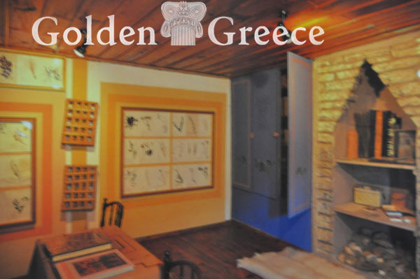 KOUKOULIOS MUSEUM OF NATURAL HISTORY | Ioannina | Epirus | Golden Greece