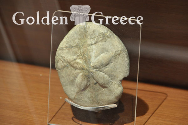 PALAEONTOLOGICAL MUSEUM OF PERAMA | Ioannina | Epirus | Golden Greece