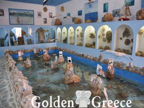 Kalymnos: MUSEUM OF MARINE LIFE AND DISCOVERIES