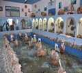 MUSEUM OF MARINE LIFE AND DISCOVERIES - Kalymnos - Photographs