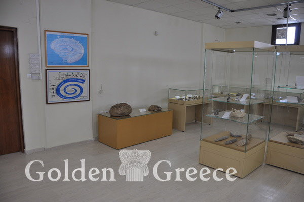PETRIFIED FOREST MUSEUM | Kastoria | Macedonia | Golden Greece