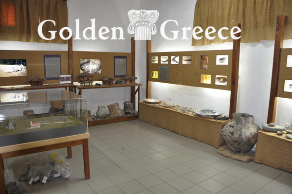 PREHISTORIC MUSEUM OF KASTORIA | Kastoria | Macedonia | Golden Greece