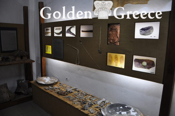 PREHISTORIC MUSEUM OF KASTORIA | Kastoria | Macedonia | Golden Greece
