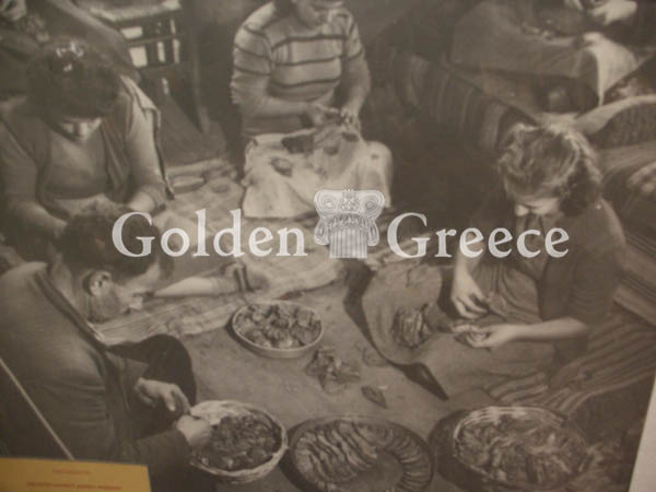 TOBACCO MUSEUM | Kavala | Macedonia | Golden Greece