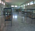 ARCHAEOLOGICAL MUSEUM OF NEMEA - Corinthia - Photographs
