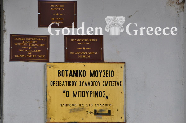 ΒΟΤΑΝΙΚΟ ΜΟΥΣΕΙΟ ΣΙΑΤΙΣΤΑΣ | Κοζάνη | Μακεδονία | Golden Greece