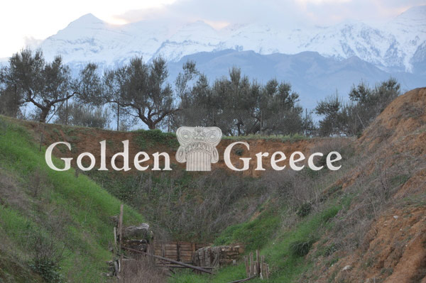 ΘΟΛΩΤΟΣ ΤΑΦΟΣ ΒΑΦΕΙΟΥ | Λακωνία | Πελοπόννησος | Golden Greece