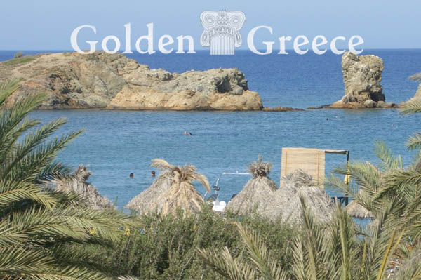 ΒΑΪ - ΦΟΙΝΙΚΟΔΑΣΟΣ | Λασίθι | Κρήτη | Golden Greece