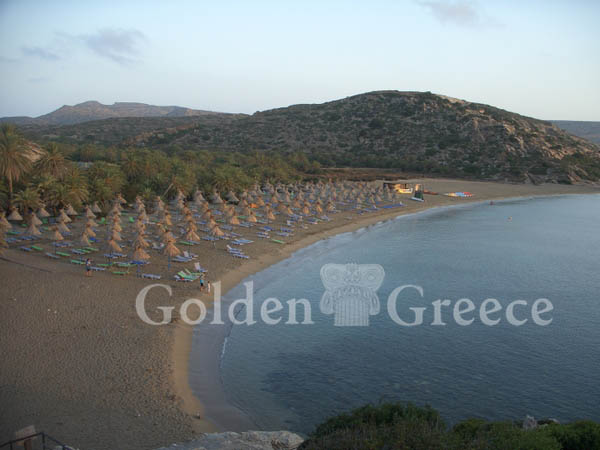 VAI - PALM FOREST | Lasithi | Crete | Golden Greece