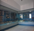 ARCHAEOLOGICAL MUSEUM OF LEFKADA - Lefkada - Photographs