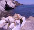 Milos - The Aphrodite of Cyclades - Photographs