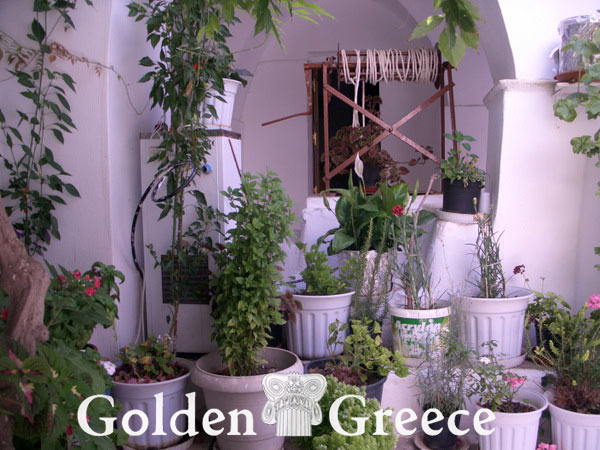 ΜΟΝΗ ΦΑΝΕΡΩΜΕΝΗΣ | Νάξος | Κυκλάδες | Golden Greece
