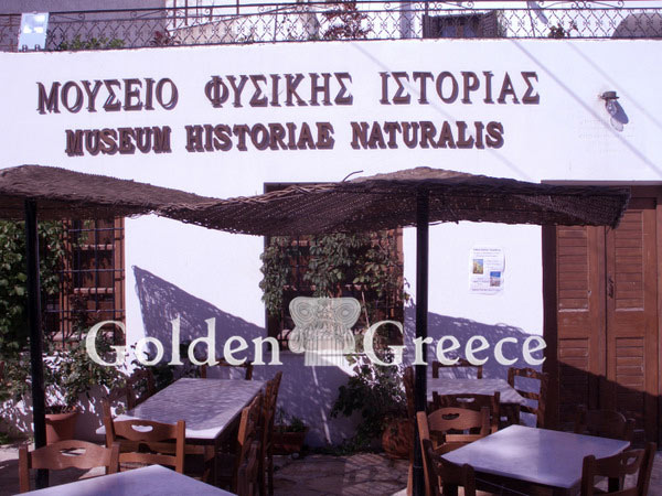 NATURAL HISTORY MUSEUM - Naxos