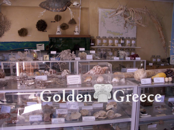 NATURAL HISTORY MUSEUM | Naxos | Cyclades | Golden Greece
