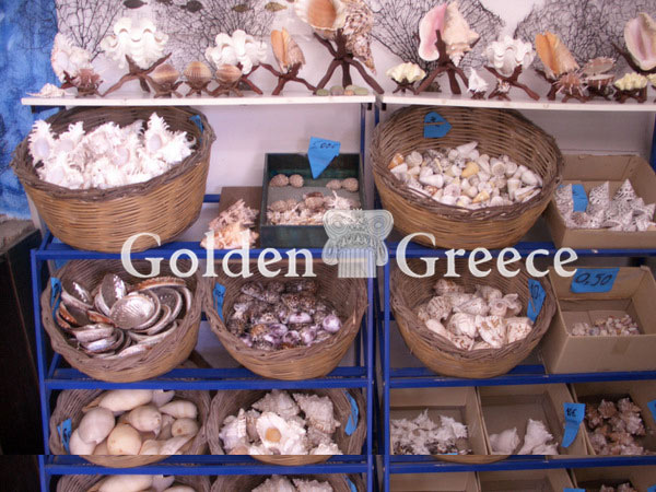 ΜΟΥΣΕΙΟ ΦΥΣΙΚΗΣ ΙΣΤΟΡΙΑΣ | Νάξος | Κυκλάδες | Golden Greece