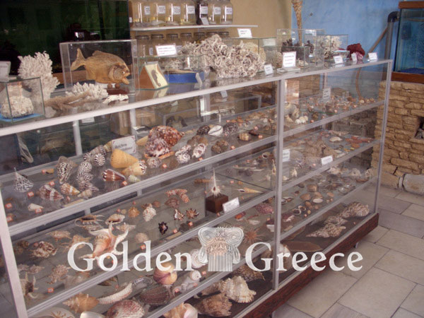 NATURAL HISTORY MUSEUM | Naxos | Cyclades | Golden Greece