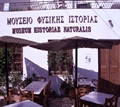 NATURAL HISTORY MUSEUM - Naxos - Photographs
