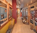 VOLCANO MUSEUM OF NISYROS - Nisyros - Photographs