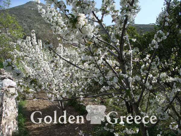 ΜΟΝΗ ΑΓΙΟΥ ΙΩΑΝΝΗ ΚΑΠΑΡΟΥ | Πάρος | Κυκλάδες | Golden Greece