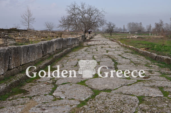 ARCHAEOLOGICAL SITE OF DION | Pieria | Macedonia | Golden Greece