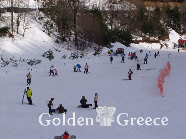 ELATOCHORI SKI CENTER - Pieria