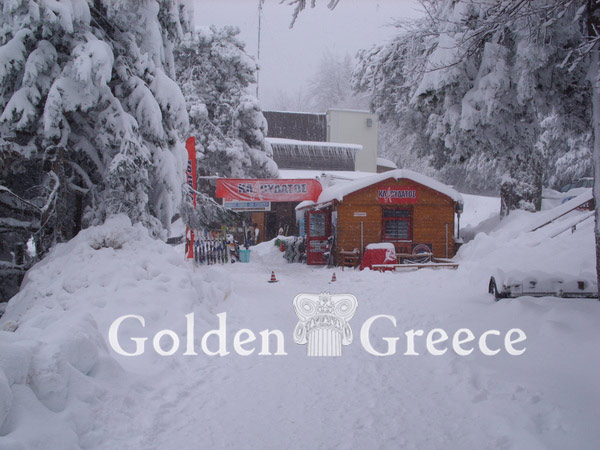 ELATOCHORI SKI CENTER | Pieria | Macedonia | Golden Greece