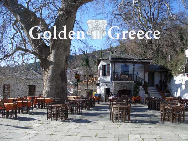 ΜΗΛΙΕΣ | Πήλιο | Θεσσαλία | Golden Greece