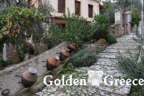 OLIVE MUSEUM MESI GATZEA | Pelion | Thessaly | Golden Greece