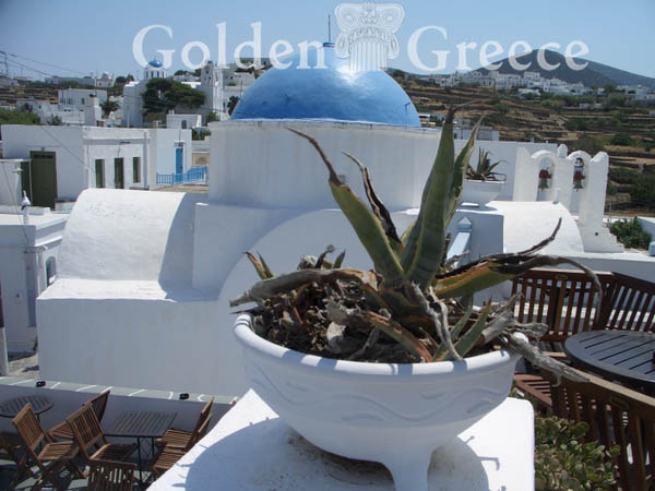 APOLLONIA | Sifnos | Cyclades | Golden Greece