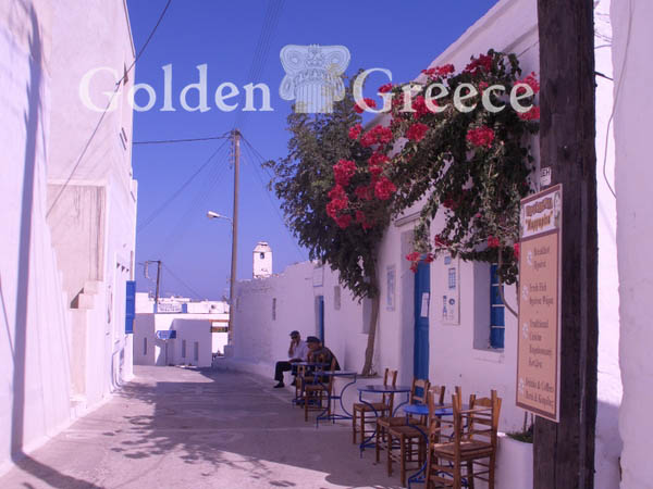 ΧΩΡΑ | Σχοινούσα | Κυκλάδες | Golden Greece