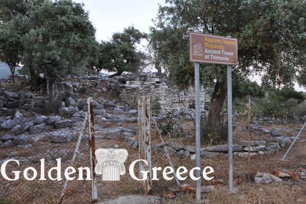 ΑΡΧΑΙΟΣ ΠΥΡΓΟΣ ΘΥΜΩΝΙΑΣ ΘΑΣΟΥ | Θάσος | B. & Α. Αιγαίο | Golden Greece